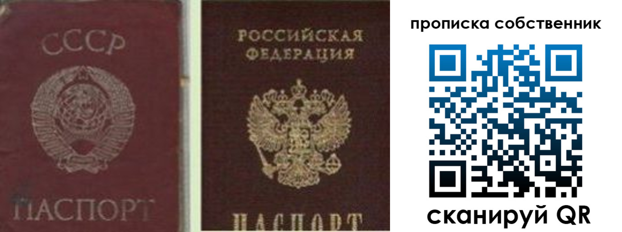 прописка 2025 в Вельске
